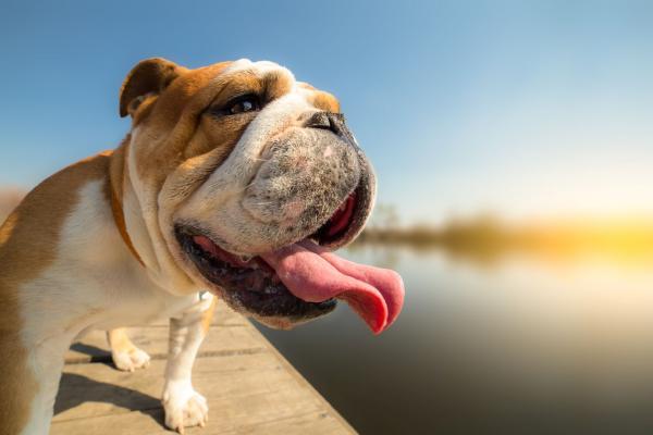 AdobeStock 141926409 25